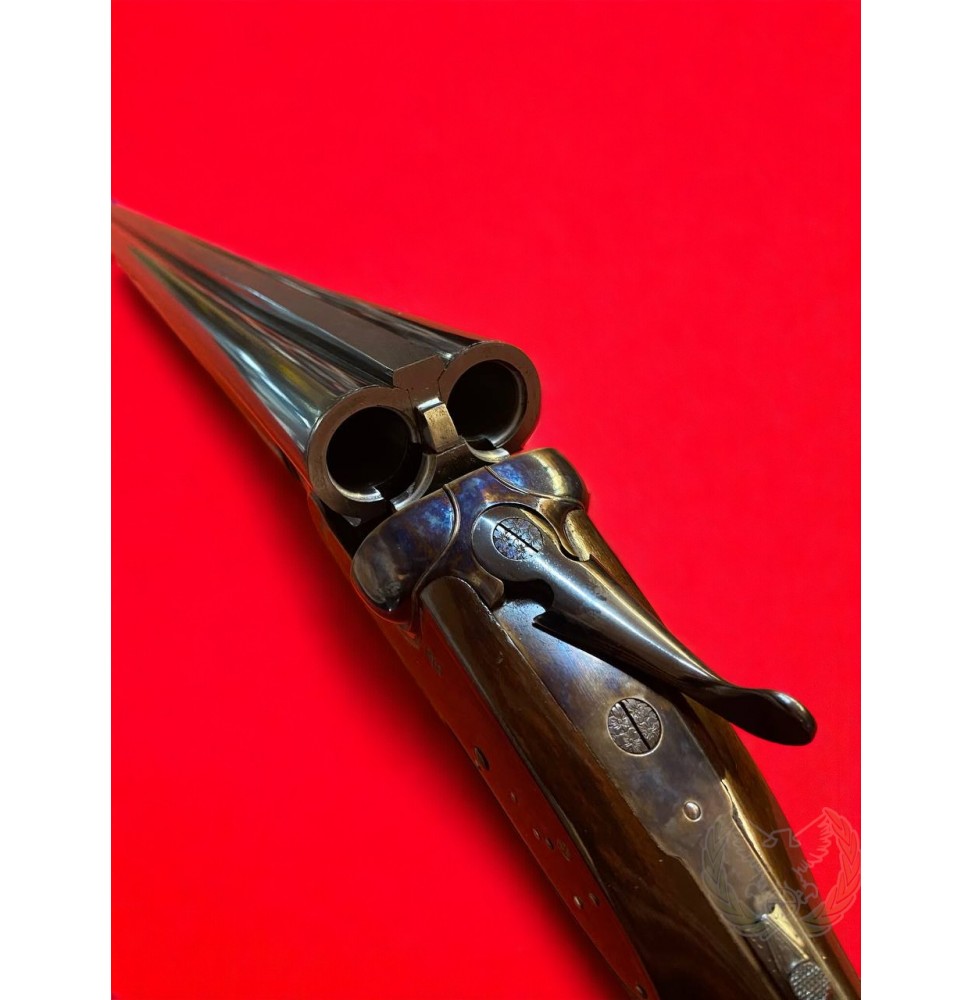 Doppietta Timpini Batterie Holland&Holland cal. 20